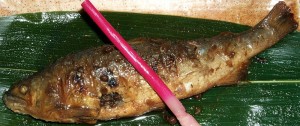 aiyu-close Aiyu Fish, Stuffed with Sansho